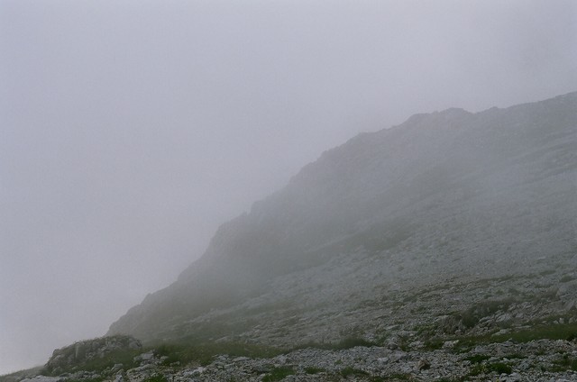 Rūkas