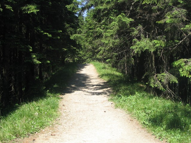 Kelias į kalnus