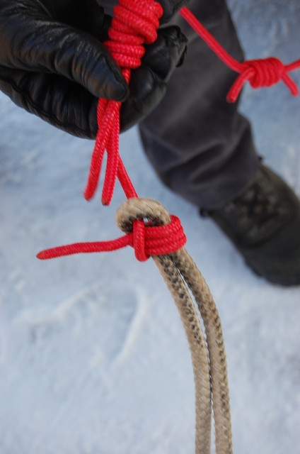 DSC_2614.JPG