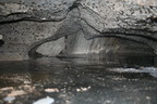 Karves_ola_topo_ 040.jpg