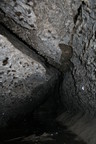 Karves_ola_topo_ 042.jpg