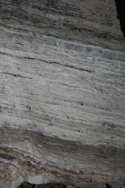 Karves_ola_topo_ 046.jpg