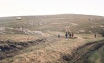 Karabi ir busiukas