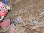 Urvo dugne rastas kaulas išgabentas į paleontologijos institutą