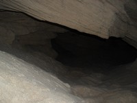 CIMG1202.JPG