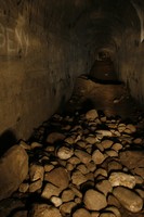 Puckoriai_foto_ 074.JPG