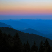 DSC_0350.JPG