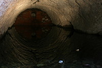 IMG_1671_1.JPG