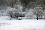 DSC_2189.JPG