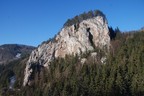 DSC_2236.JPG