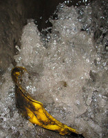 IMG_8447.jpg