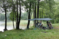Pastogė