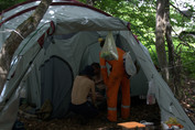 IMG_1125.jpg