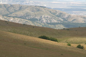 Karabi spalvota vasara