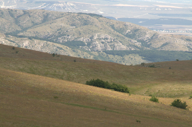 Karabi spalvota vasara