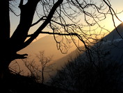 _DSC_2421.JPG