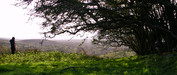 Ireland_001.jpg