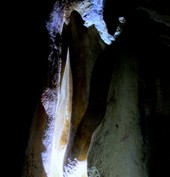Naujieji ant Karabi