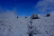 Ir vienas lauke - karys