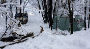 Kompaktiška stovykla