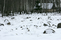 Juodžionių riedulynas. Unikalus "skandinaviškas" ledyno suformuotas kraštovaizdis Lietuvoje