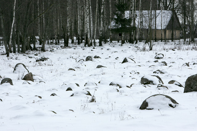 Juodžionių riedulynas. Unikalus "skandinaviškas" ledyno suformuotas kraštovaizdis Lietuvoje