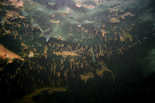 00510011.jpg
