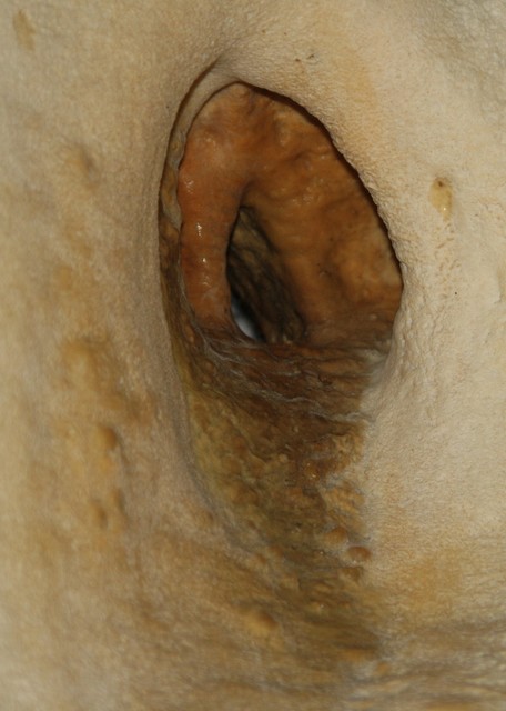 Paveikslėlis