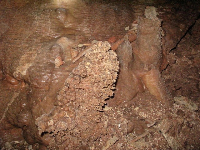 Paveikslėlis