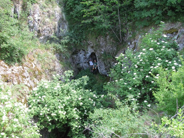 Paveikslėlis