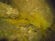 Ryškiai geltonas pelėsis Ventoje, moldavų atšakoje