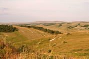 IMG_7494.jpg