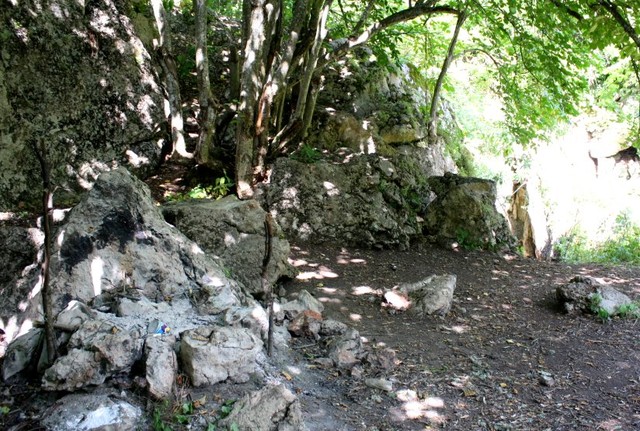 Atsirado stacionari laužavietė prie Violos