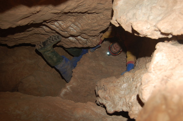 DSC_8223.JPG