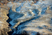 2009-2010 m. Naujametinė Karabi