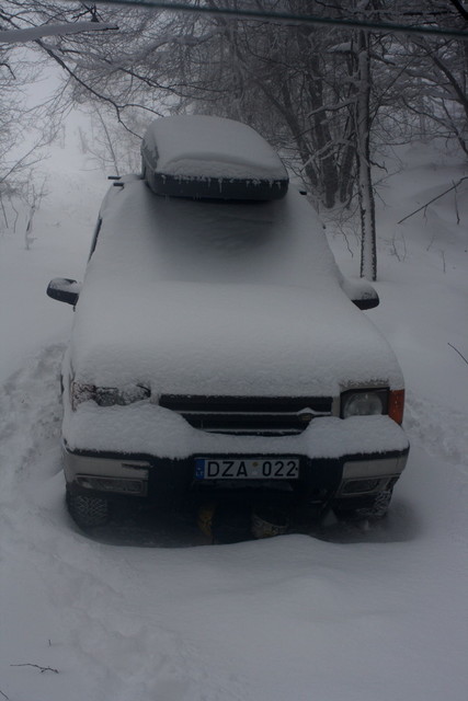 Džipo miegas