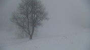 DSC07867.JPG