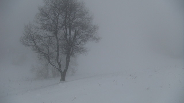 DSC07867.JPG