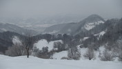 DSC07903.JPG