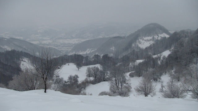 DSC07903.JPG
