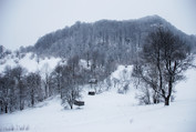 DSC_3164.jpg