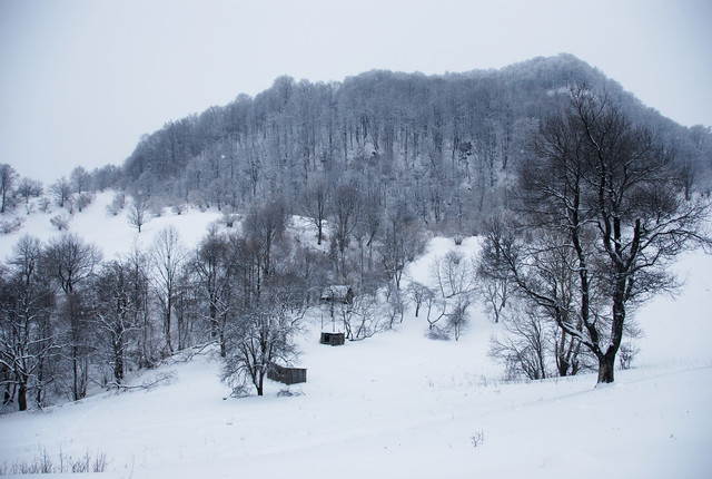 DSC_3164.jpg