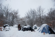 Palapinės, bevirstančios iglu