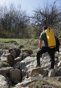 Pasitarimas