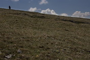 Daubų beieškant