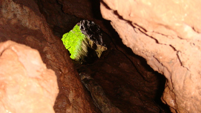 DSC00094