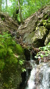 DSC00134