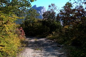 DSC01969ab