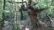 DSC02006