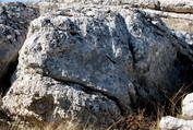Mieganti pabaisa